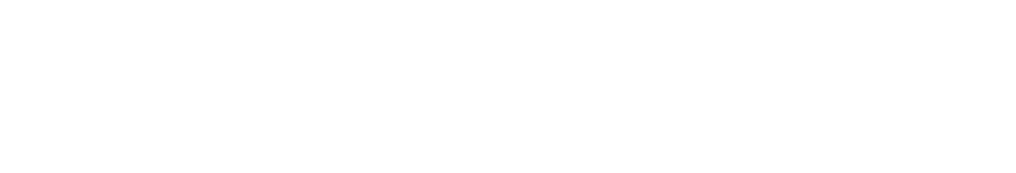 2026年国际足联世界杯（新）